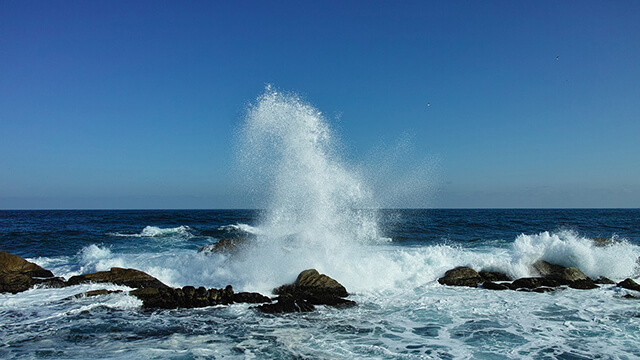 大海,奇妙,现象,权柄,淡水,咸水