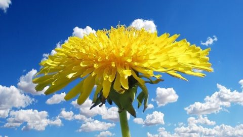 苦境,救恩,全能神,带领,喜乐