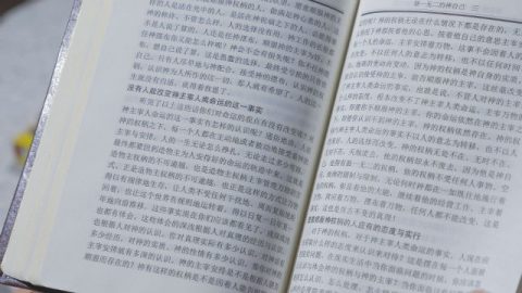 一个现实问题牵扯出来的人的各种窘态