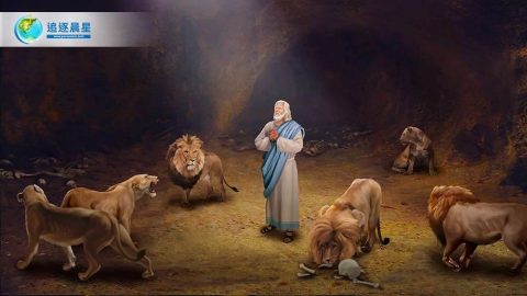 先知,但以理,圣经故事,狮口余生,狮子坑,神迹奇事,彰显