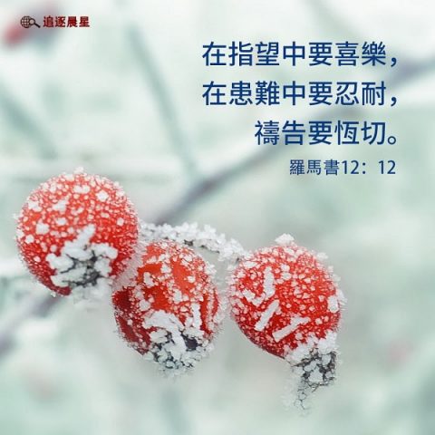 圣经金句：在指望中要喜乐，在患难中要忍耐
