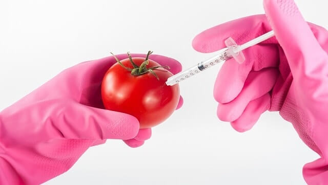 食物安全不容忽视,经济改革,蔬菜,水果,注射,基因,致癌,剧毒