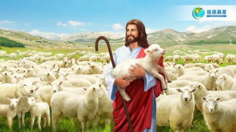 找到牧羊人,东方闪电,真假基督