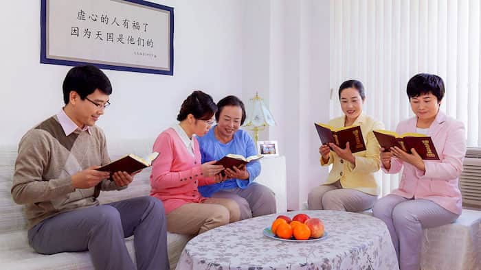 全能神教会,看神话,赌博带来的灾难