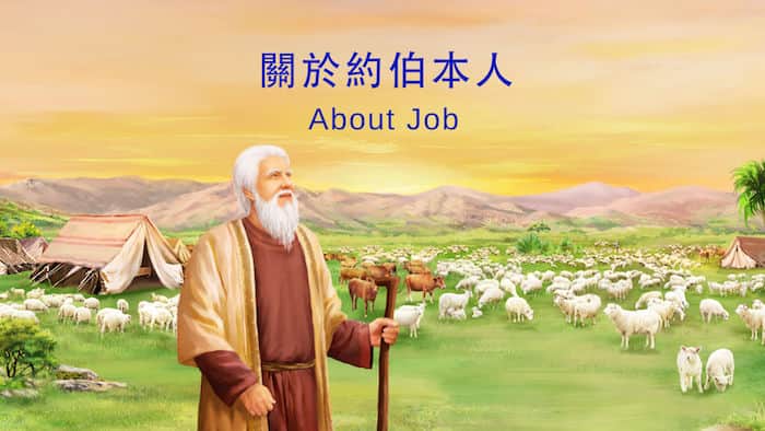 关于约伯本人