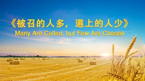 神的发表《被召的人多,选上的人少》