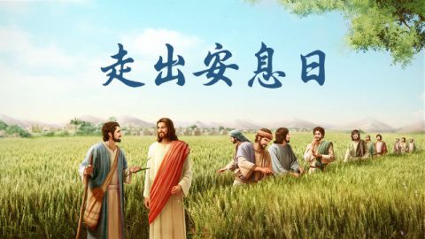 人子是安息日的主