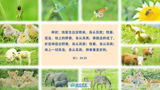 神的六天创造