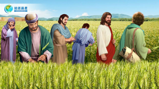 你心裡是殿大,還是神大