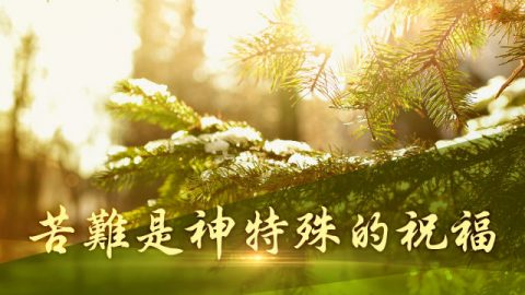 苦难,祝福