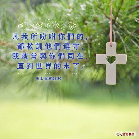 圣经金句-遵守主耶稣的教训-传福音经文