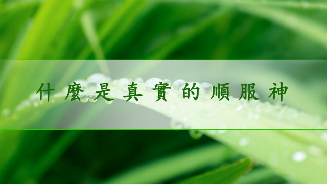 真實的順服神,上帝