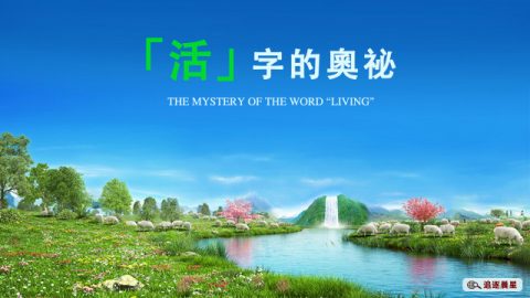 “活”字的奥秘