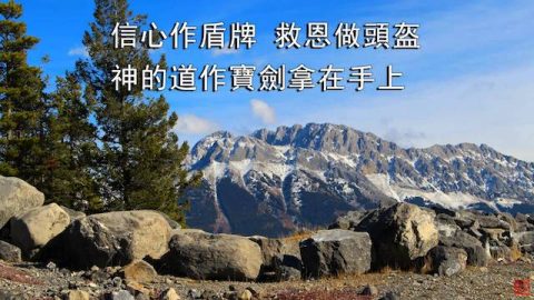 小羊詩歌《主,我相信》專輯 - 耶和華的軍隊