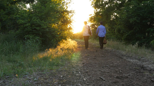 【感恩篇】神愛伴我到天涯