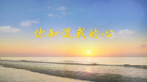 基督徒赞美敬拜诗歌系列《你知道我的心》