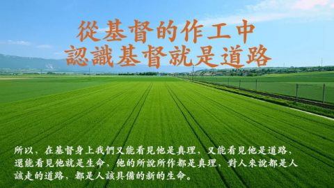 从基督的作工中认识基督就是道路