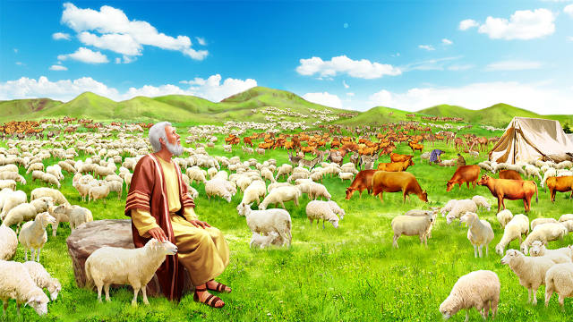 從約伯的經歷中收穫到……