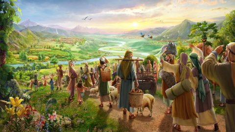 【神的经营】律法时代神为什么作工在以色列
