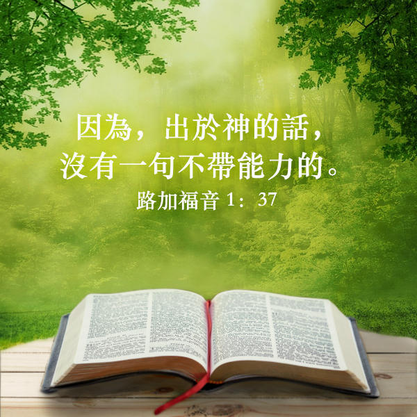圣经金句 出于神的话 没有一句不带能力的