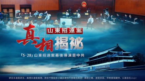 《山东招远案真相揭秘》麦当劳故意杀人案背后的惊天阴谋