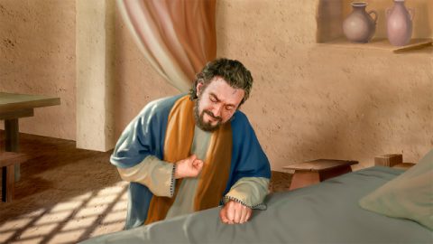 彼得,被审判