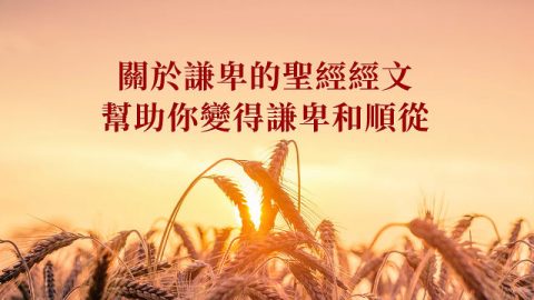 关于谦卑的圣经经文,帮助你变得谦卑和顺从