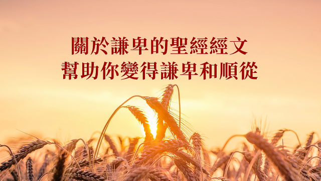 关于谦卑的圣经经文,帮助你变得谦卑和顺从