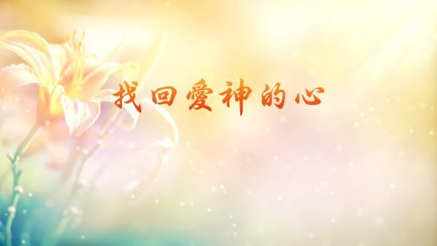 赞美诗歌神的爱