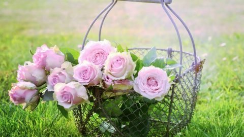 等候神轻音乐,灵修轻音乐