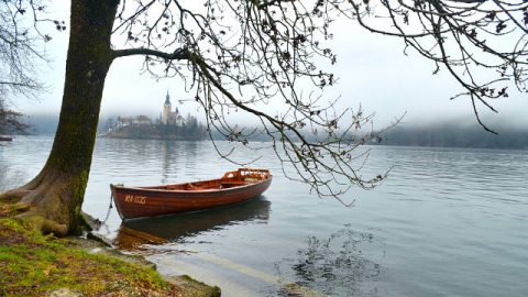 漂泊的小船终于靠岸了
