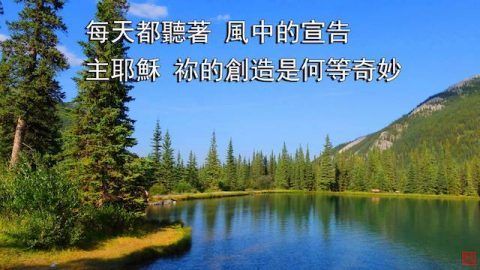 小羊诗歌