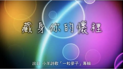 小羊诗歌,一粒麦子