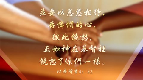 Image result for "å ä¸ºæçè½­æ¯å®¹æçï¼æçæå­æ¯è½»ççã(å¤ª11:30)"