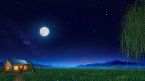 夜晚,月亮