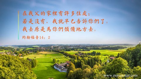 天国的比喻-主题经文