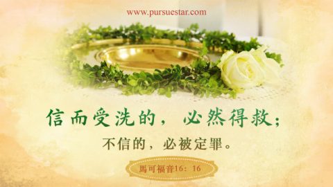 圣经金句,救恩