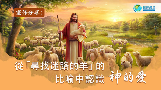 主耶稣,主的爱,迷路的羊