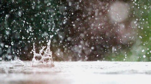 雨