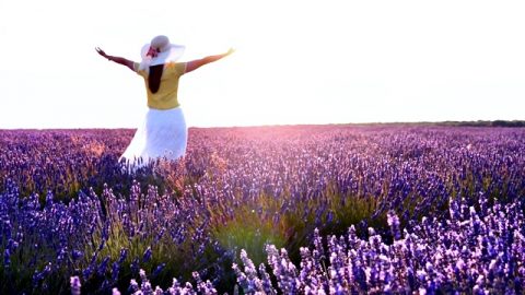 如何将平凡的人生过得不平凡