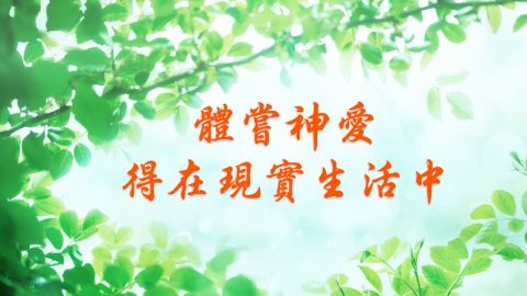 基督徒敬拜赞美诗歌《体尝神爱得在现实生活中》