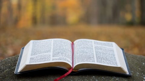 圣经问答,如果圣经都是神所默示的,那为什么还会有误差呢?