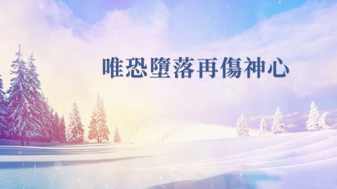 雪松,雪景