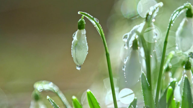 人怎样经历神的审判刑罚才能达到蒙拯救？