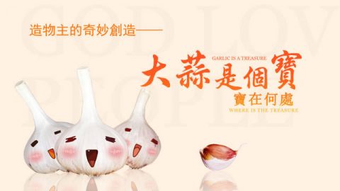造物主的奇妙创造——“大蒜是个宝”,宝在何处