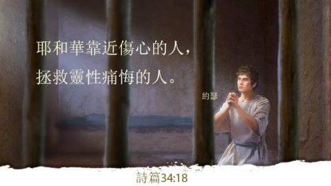 刚强-主题经文