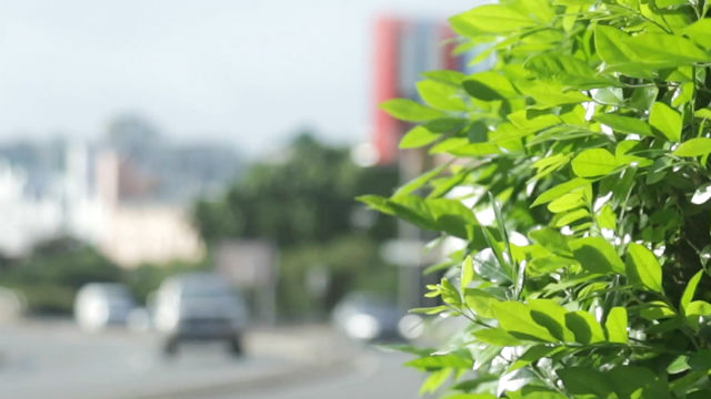 公路上的奇妙保守