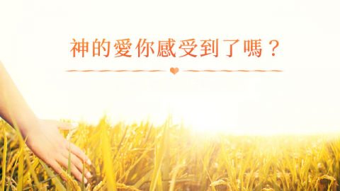 神的爱,你感受到了吗