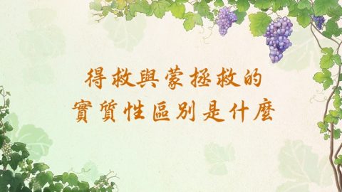 得救与蒙拯救的实质性区别是什么