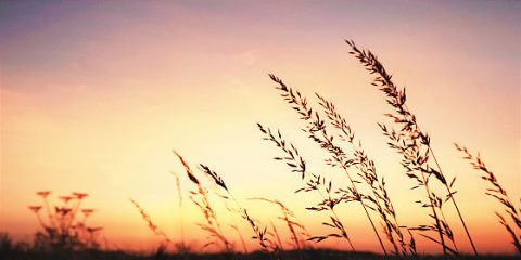 当你看见耶稣灵体的时候已是神重新更换天地的时候了